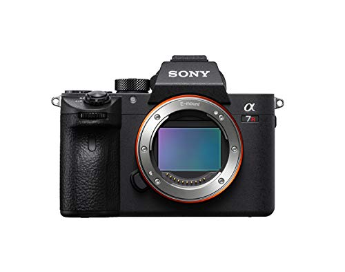 Bestes sony alpha 7 iii im Jahr 2022 [Basierend auf 50 Expertenbewertungen]