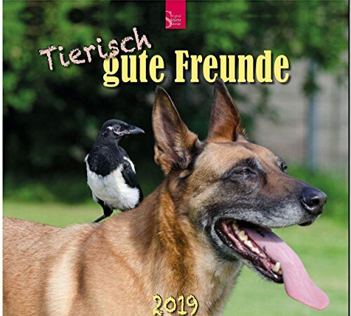 MF-Kalender Tierisch gute Freunde 2019