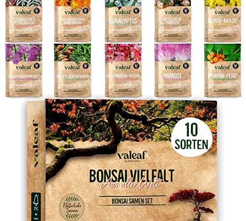 10 Bonsai Samen aus 5 Kontinenten I Exotische Baum Samen für deinen einzigartigen Bonsai Baum I Bonsai Starter Kit für Anfänger und Pflanzen Verrückte I Unser Bonsai Set als besondere Geschenkidee