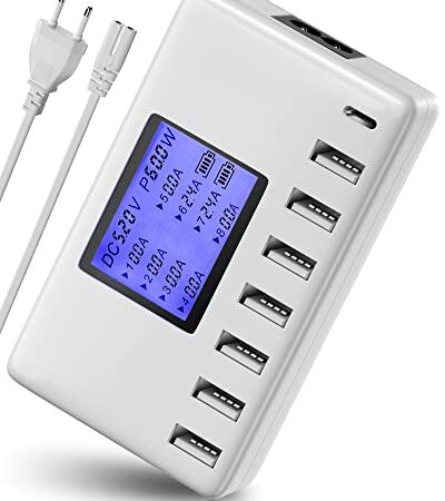 USB C Ladegerät, Ziwodiv 60W USB Ladegerät Mehrfach 8-Port Multi Ladestation Mehrere Geräte, USB C Netzteil with LCD Bildschirm, Schnellladegerät für iPhone 13/12/11/Pro/Max/Galaxy S21/Tablet